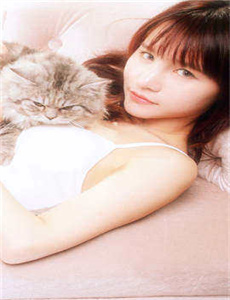 抬头有星光电视剧